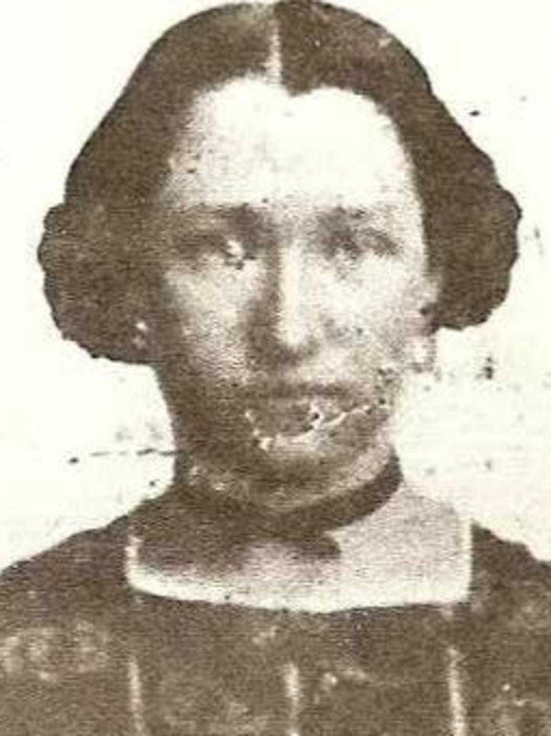 Amanda Ann Andrus (1847 - 1925) Profile